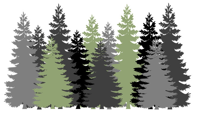 Mit der AXA Versicherung Waldversicherung ist Ihr Wald bestens geschützt