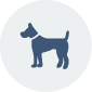 Balunos-Hunde Kranken-/OP-Versicherung