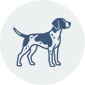 Cleos-Jagdhundeversicherung